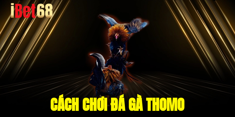 cach choi da ga thomo
