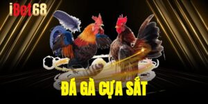 da ga cua sat 1