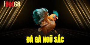 da ga ngu sac